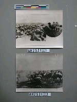 藏品(蒙古羊群與大小駱駝)的圖片